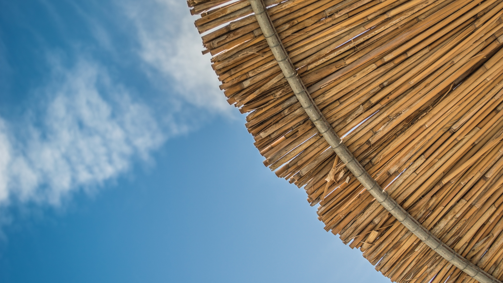 Read more about the article Zile Gratuite de Vacanta [SEVEN ELEVEN]